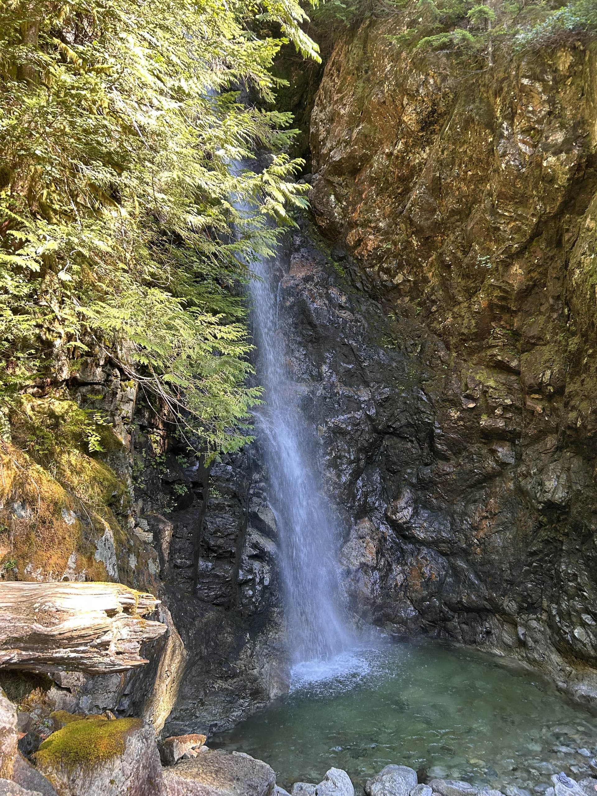 Vancouver gallery photo 7