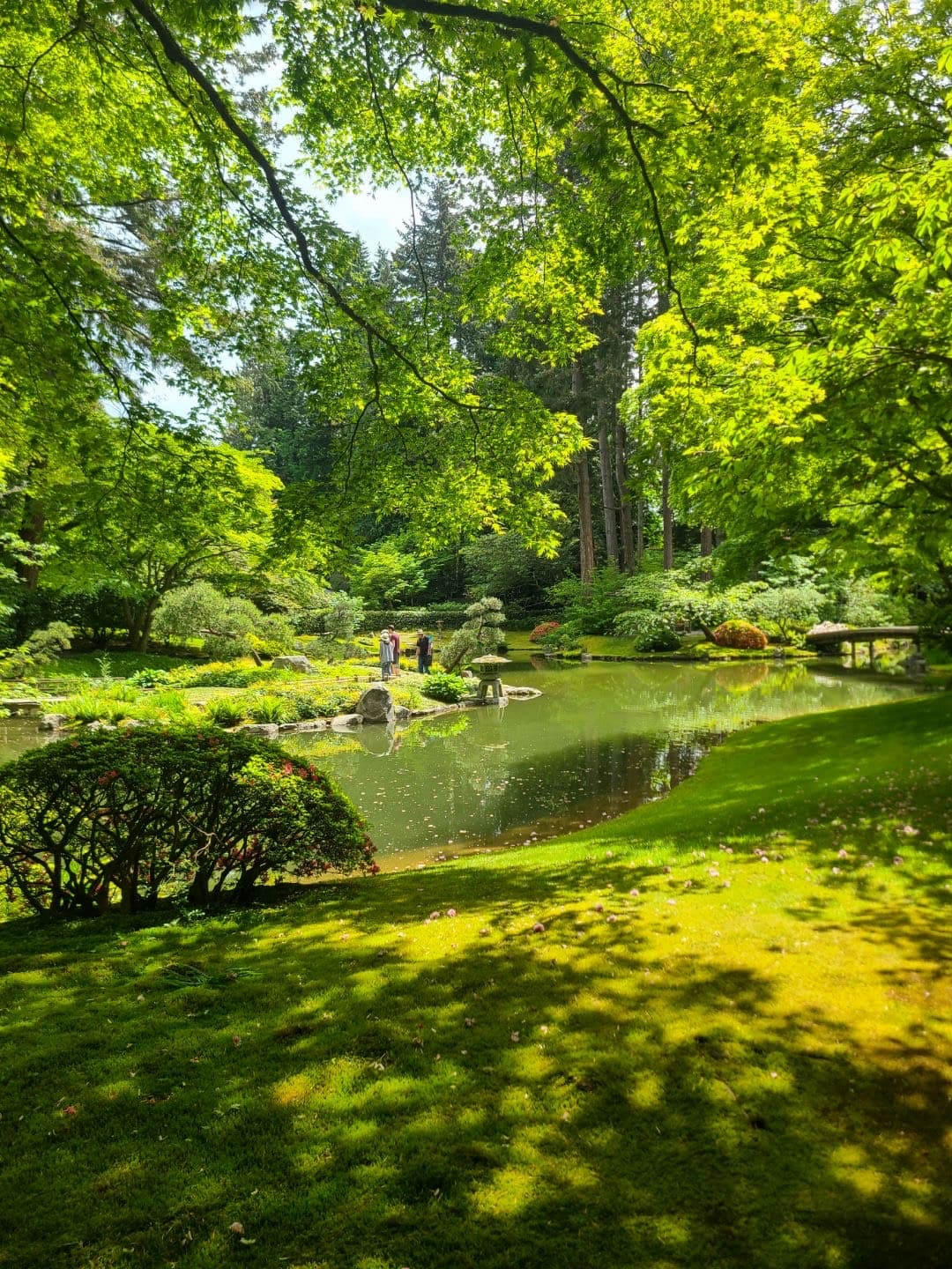 Vancouver gallery photo 8