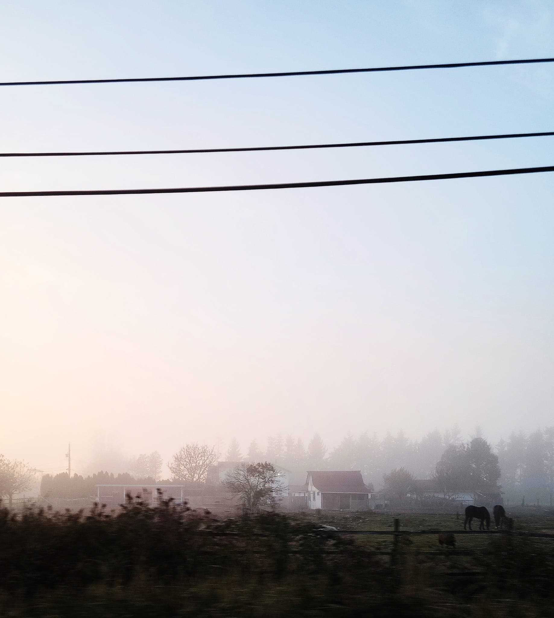 Vancouver gallery photo 9