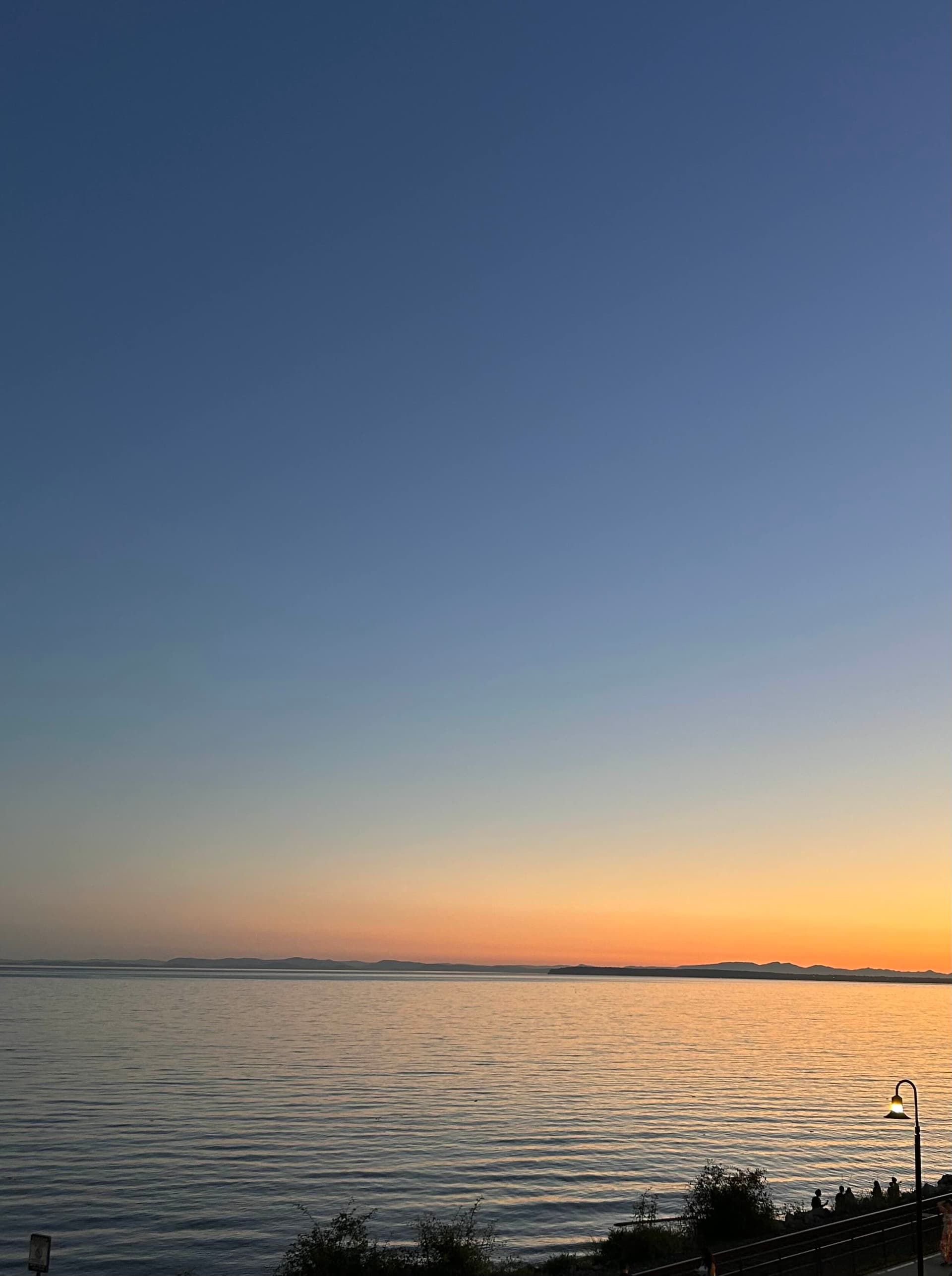 Vancouver gallery photo 11