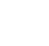 Lyntic Logo